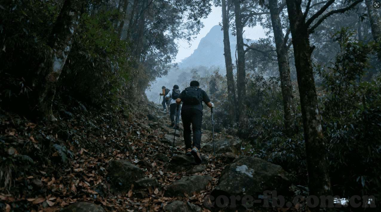 澳门威尼斯人登陆-澳门威尼斯人登陆，一场奢华与文化的交融之旅